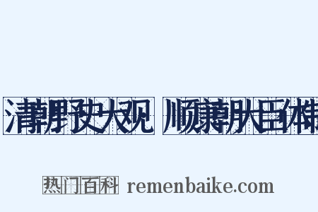 清朝野史大观·顺康朝大臣体制是什么意思的图片